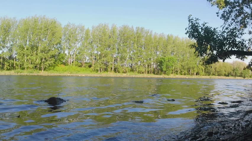 Scenic summer river landscape with kayakers paddling and calm water ripples