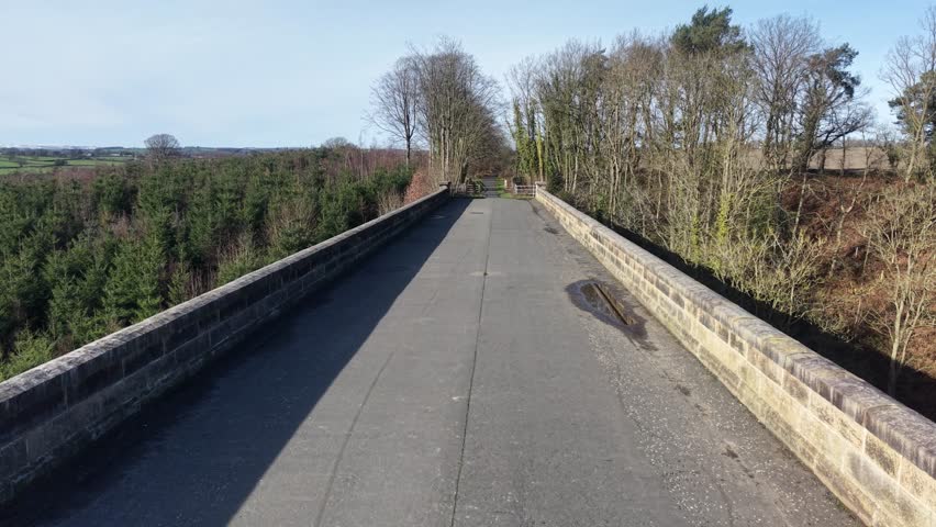 Aerial View of Tree-lined Path Over Bridge