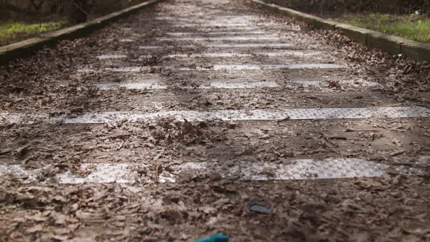 Panning up shot of an empty wooden pedestrian bridge covered in fallen leaves in a natural outdoor setting.
