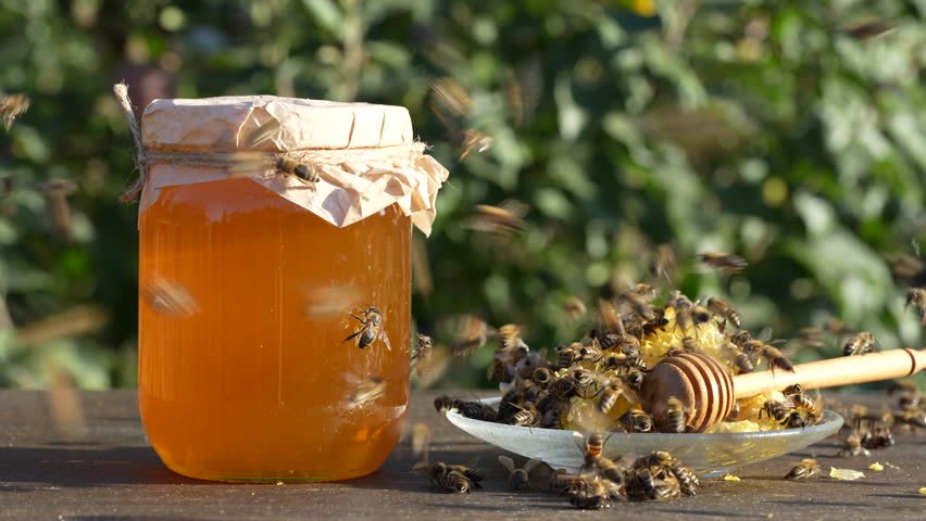 Fresh honey with wooden honey dipper and wild bees on sunny day against nature background, close up. Healthy eating concept. Organic floral honey in glass jar against blurred background with trees