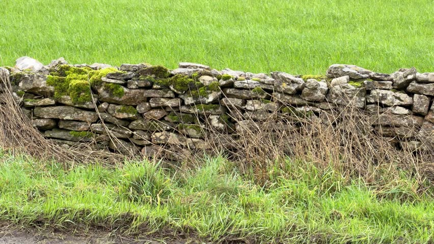 Panning shot of a traditional moss covered dry stone wall bordering a lush green field in the English countryside
