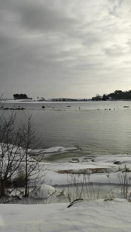Seashore, bare tree branches, cloudy weather, snow-covered beach, gray sky, sun shining through the clouds, flock of birds, Baltic Sea