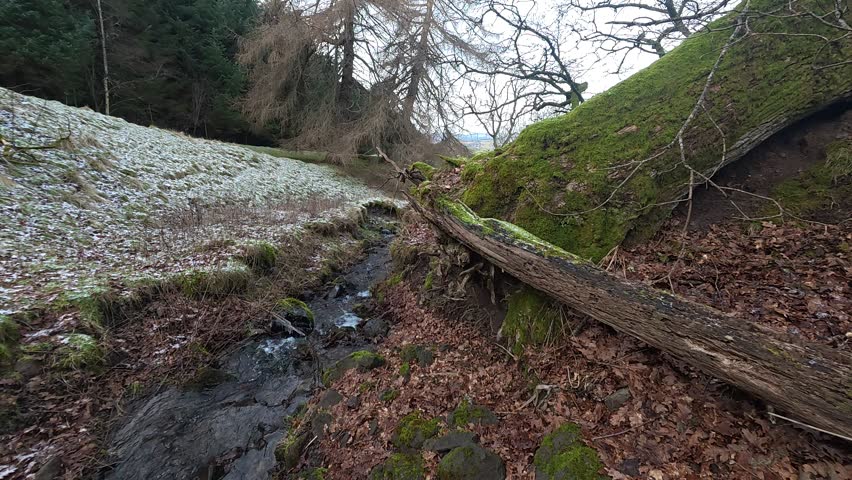 Scotland – February 19th 2026: Perthshire countryside around Glenearn and Glenearn Hill with Ochil Hills, Strath Earn valley, woodlands and river views.