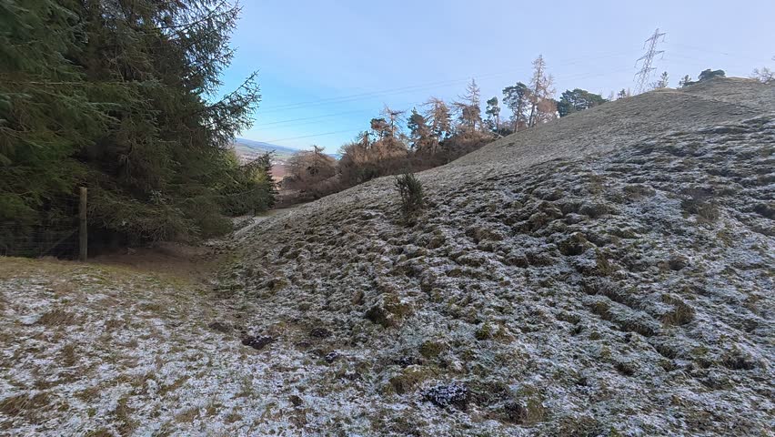 Woodland terrain on Hartside Hill in Scottish Borders region featuring trees, slopes, ditches and natural scenery