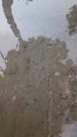 Raindrops falling on a puddle on the ground with tree reflection.