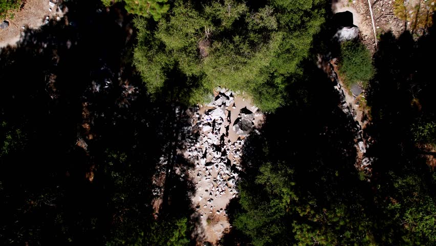 An epic top-down drone shot reveals the dramatic transition from rugged, imposing gray granite cliffs to a vibrant, deep green coniferous forest. A dry riverbed or path cuts through the valley floor below, contrasting with the shadow cast by the sheer rock face. Bright sunlight illuminates the scene, emphasizing the texture of the mountain.