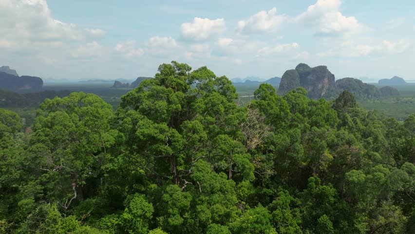 Aerial view of lush greenery and limestone cliffs in Thailand