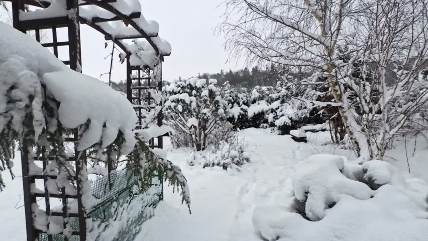 A tranquil walk through a snow-covered backyard garden along a winding path, with wooden bench and trellis beneath heavy snowfall.