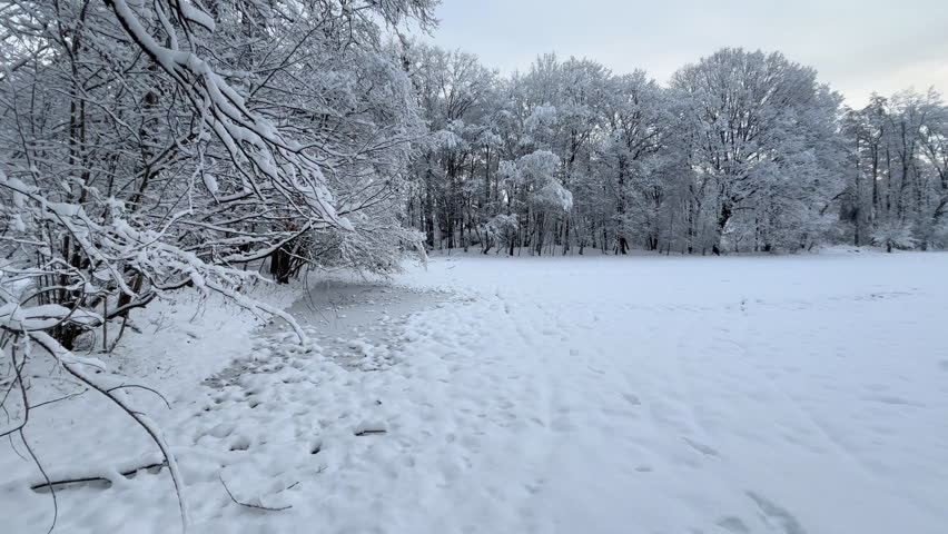 Winter landscape with snowy forest. Peaceful nature scene with snow covered trees and calm seasonal atmosphere.