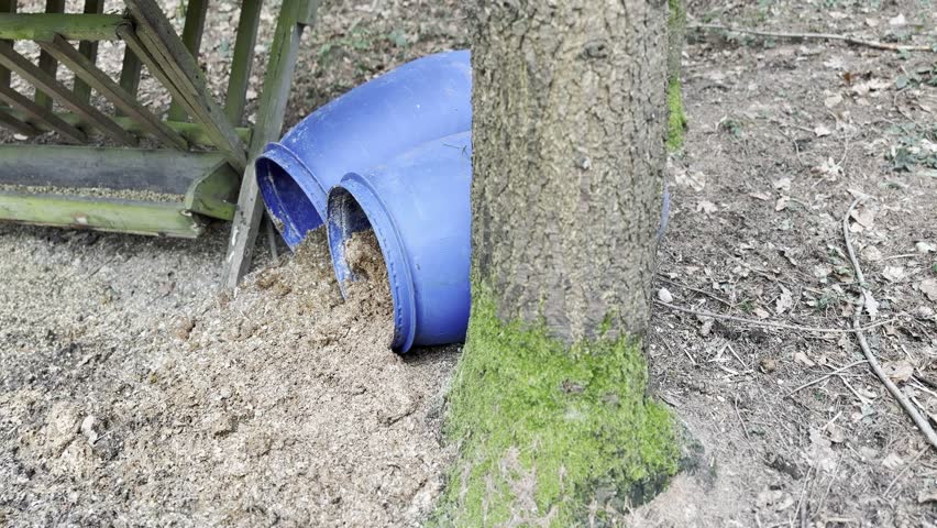 deer feeding station near forest in winter
