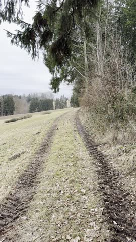 tractor tire tracks from woodwork in forest