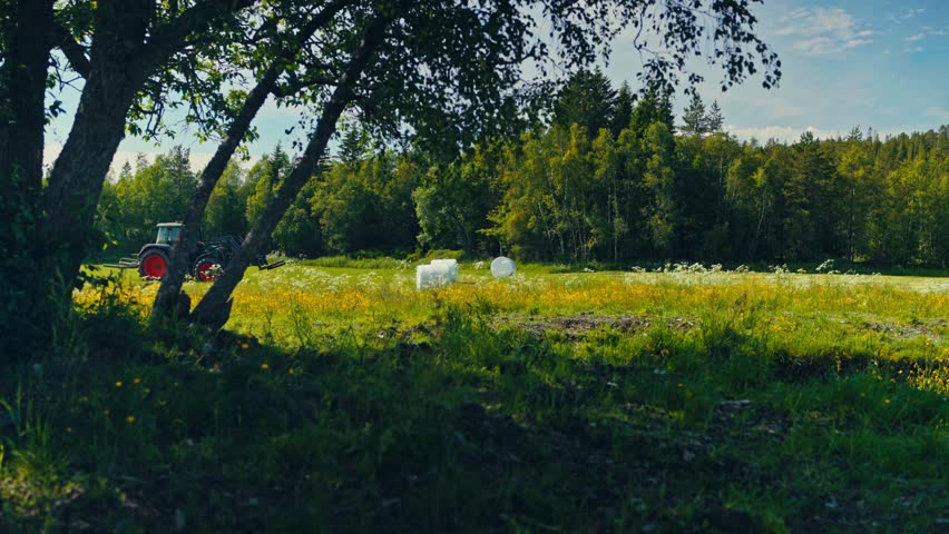 Farm Tractor Over Farmland With Hay Bale Rolls. Static Shot