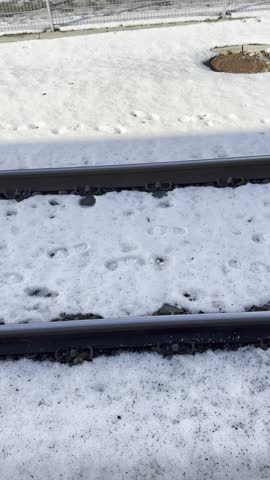 snowed railroad tracks in winter
