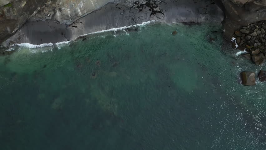 Top-down aerial view of a sea lion colony swimming near a rocky beach in the alaskan wilderness