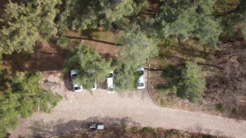Cinematic top-down aerial drone view of a parking lot inside a green pine forest. White cars are parked under trees next to a walking path. Concept of weekend recreation and nature travel.