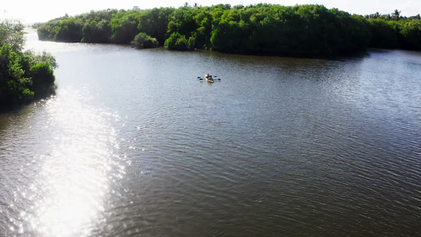 Aerial view of two people in yellow kayak paddling through tropical mangrove forest in Sri Lanka. Active travelers exploring exotic river ecosystem in Southern Province. 4K outdoor adventure clip.