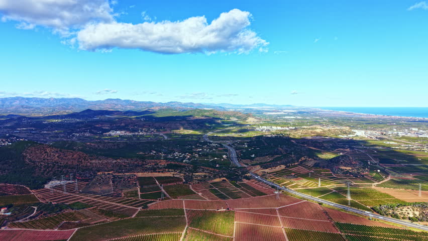 Aerial view shows vast vineyards and farm fields in a rural area. The coastline can be seen in the distance under a clear blue sky with a few clouds.