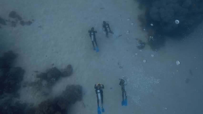 High overhead wide shot of four scuba divers arranged in two buddy pairs, swimming side by side above a sandy seabed in coordinated formation during a dive on the Great Barrier Reef, Australia.