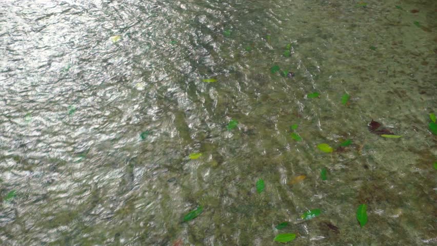 High angle view of water ripples on a stream under a gray cloudy sky, natural ambient audio.