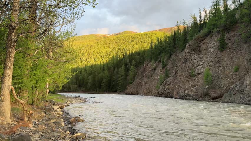 Powerful mountain river flowing through canyon. Steep cliffs on one side, forest on mountains lit by sunset light on background. Rocky bank with trees close to water on other side.