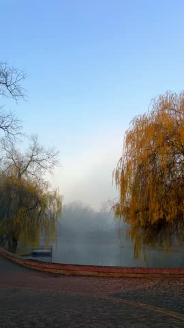A view of a lake surrounded by trees with yellow leaves. Fog covers the water during the early morning hours. The park shows signs of nature waking up.