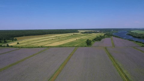 Side Drone Flight over Fields toward River