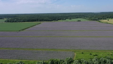 Aerial Circular Flight over Farmland Moscow Region