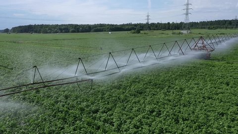 Drone Passing over Irrigated Farmland Moscow Region