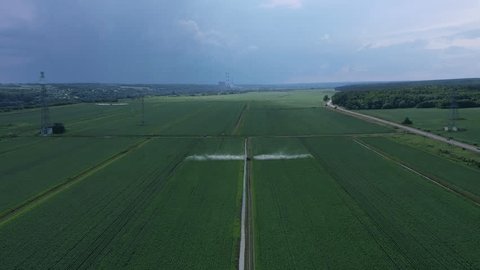 Drone Gradually Lifting over Green Fields