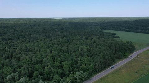 Cinematic Drone Rotation above Woodland Road