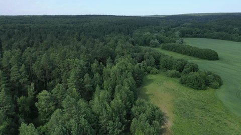 Aerial Descent over Woodland Moscow Region