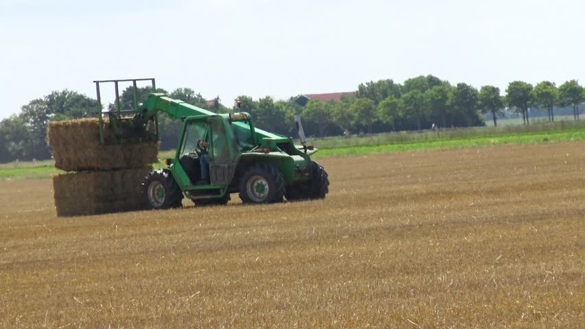 A tractor drives through a field collecting hay into bales.