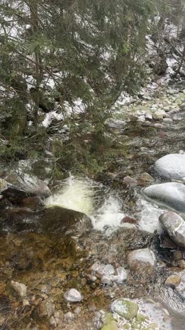 Mountain rocky river in winter forest
