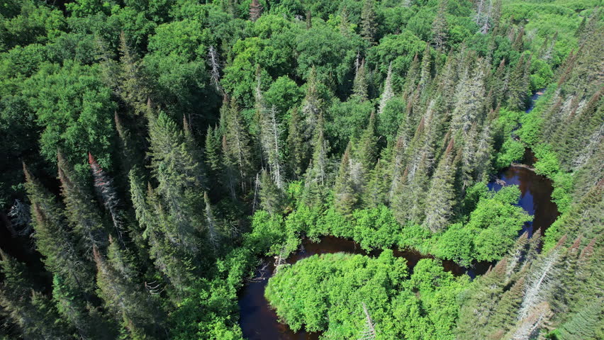 Aerial shot of stream or creek at crown land of Kents Mill Road and N Lake Rd, near Pickerel Lake area, Ontario, Canada. Epic wild forestry pine trees and vegetation. Travel adventure during summer.
