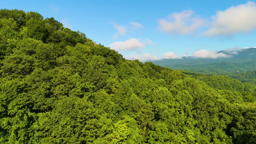 Great Smoky Mountains in summer rainy season. Mountain wooded hills in Tennessee Appalachians, USA.