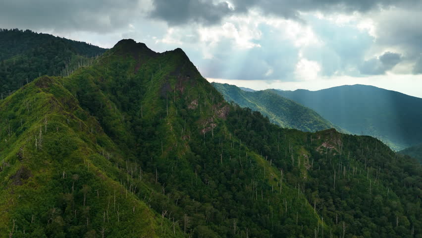 Nature landscape of Tennessee with Chimney Tops peaks in Appalachian mountains. Mountain forest with green canopies in summer season.