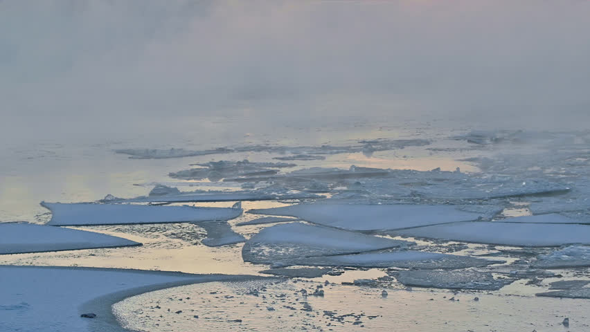 Saint-Petersburg, Russia city center - Neva river vapors in frost, snow flies over ice floating in water