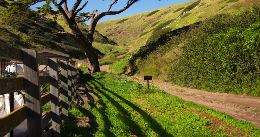 Tree, fence, rolling green hills and windy path on Santa Cruz Island Channel Islands National Park California