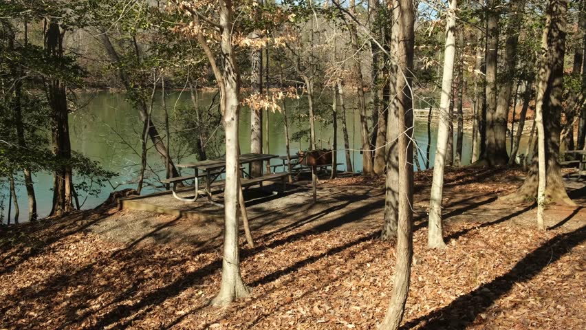 People enjoy a picnic at the table by the calm lake. The trees are bare, and leaves are spread on the ground. This spot is quiet and green, perfect for a gathering.