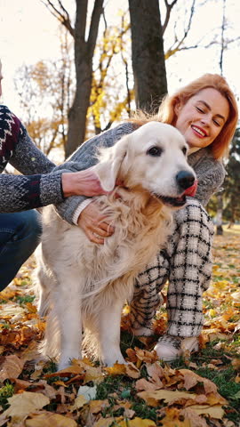 Close up portrait of happy young married couple caressing their lovely dog, enjoying walk with lovely pet at autumn park, tracking shot slow motion