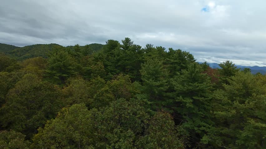 USA, Tennessee Highland View With Forest Cover. Remote Scenic Overlook Featuring Dense Forested Mountain Terrain. Expansive Panoramic Perspective Capturing Lush Forests And Towering Mountain