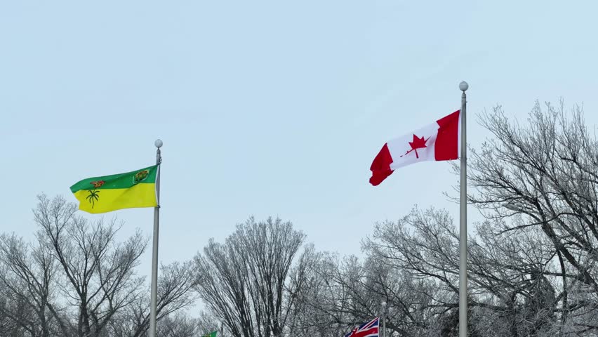 Canadian national flag and Saskatchewan provincial flag waving on flagpoles during winter, framed by bare trees under a gray sky.