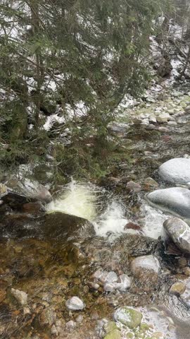 Mountain rocky river in winter forest