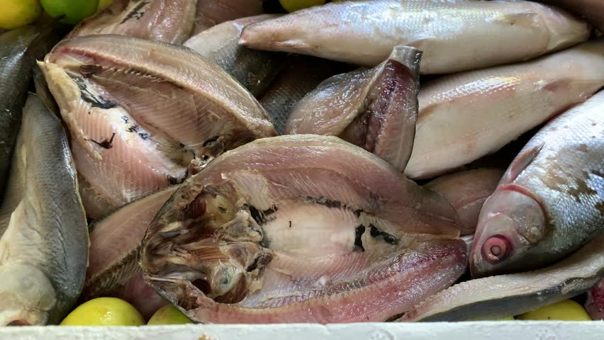 Milkfish in a styrofoam box.
