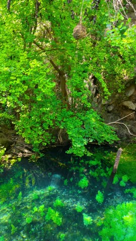 Aerial view of a clear turquoise natural pool surrounded by dense green forest and rocky cliffs in Salalah, Oman.