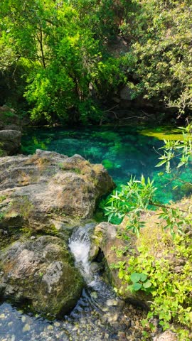 Aerial view of a clear turquoise water pool surrounded by dense green trees and limestone rocks in Salalah, Oman.