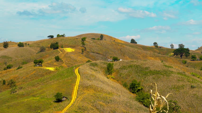 Rural countryside landscape with winding dirt road through golden hills under blue sky