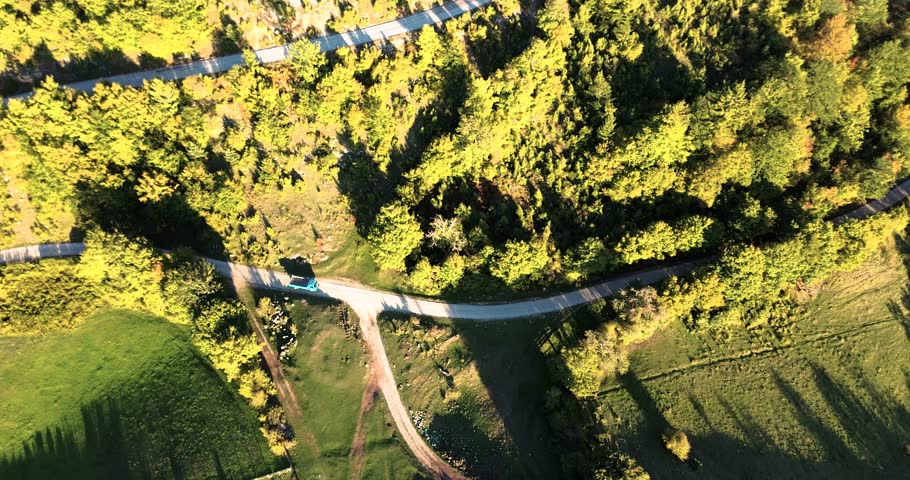 Blue car navigating a winding country road through a lush green forest during a sunny day