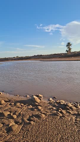 A wide scenic view of a flowing river in a desert valley with palm trees on the horizon under a bright blue sky, showing a serene natural oasis landscape.