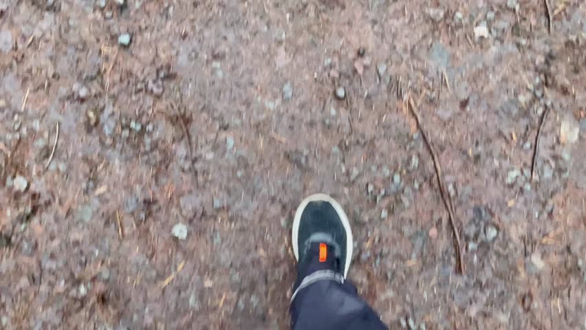 Forest trail under bare trees, muddy path and fallen leaves, park walker moving along wet ground, shoe closeup POV, overcast sky and mossy. Taken on mobile device.